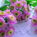 beautiful-pink-flowers-770x481