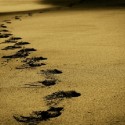 sand-768783_1280