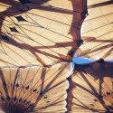 PicsArt_04-30-04.44.44.jpg